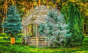 Gazebo in the woods