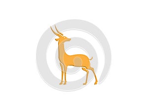 Gazelle antelope, Ghazal vector stand side view illustration isolated on white background photo
