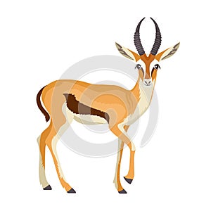 Gazelle or antelope with horn. African mammal animal in wildlife. Vector photo