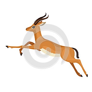 Gazelle or antelope with horn running in wildlife. African mammal animal. Vector