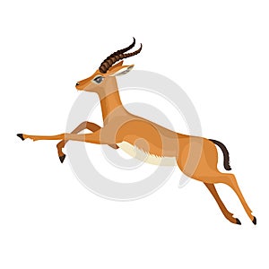 Gazelle or antelope with horn running in wildlife. African mammal animal. Vector photo