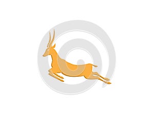 Gazelle goat jump antelope. Ghazal run vector stand side view illustration isolated on white background photo