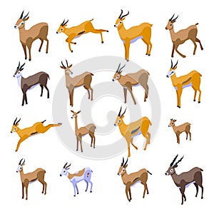 Gazelle icons set, isometric style