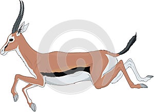 Gazelle Running Illustration