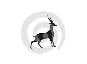 Gazelle silhouette black antelope. Ghazal vector stand side view illustration isolated on white background photo