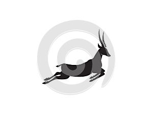 Gazelle silhouette jump black antelope. Ghazal run vector stand side view illustration isolated on white background photo