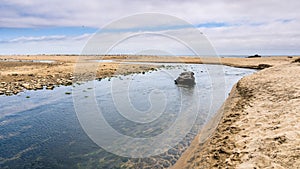 Gazos Creek meandering through sand dunes, Gazos Creek AÃ±o Nuevo State Park, Pacific Ocean coastline, California