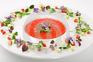 Gazpacho soup