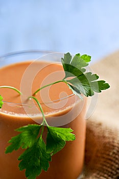 Gazpacho, spanish cold tomato soup