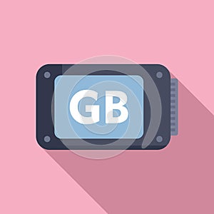 GB storage focus icon flat vector. State backup ssd