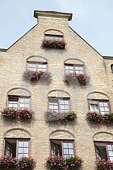 Gdansk Old Town Residential Building With Flowers