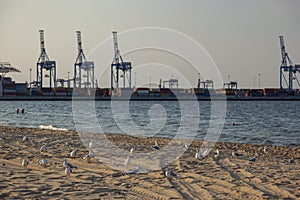 GdaÅ„ska, Poland, the Baltic Sea - Stogi Beach