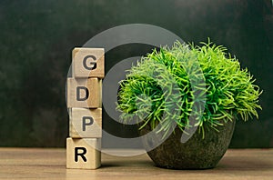 GDPR word on wood cube block with green plant in pot