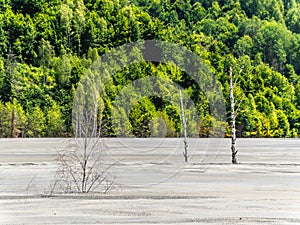 Geamana Lake pollution