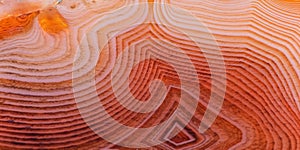 Geametric lines of light and dark orange agate texture