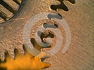 Gear of a mechanical watch photo