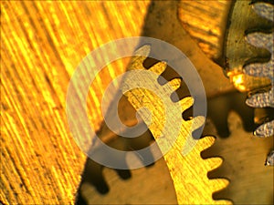 Gear of a mechanical watch