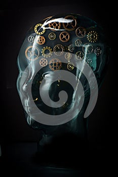 Gears Glass Head Thinking