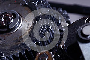 Gears in industrial lubrication close-up photo