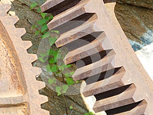 Gears from old mining equipment