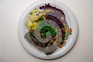 Gebratene Entenbrust mit Rosmarin, Erbsen, Karotten, Apfel-Rotkohl, KartoffelknÃÂ¶del und Petersilie von oben fotografiert photo