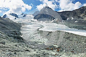 Gebroulaz Glacier from Coc du Soufre in Vanoise national park, France