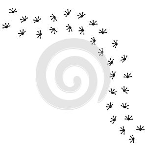 gecko footprint vector illustration design
