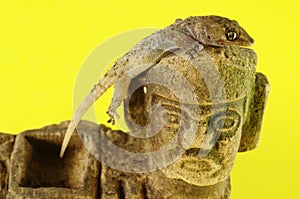 Gecko Lizard and Mayan Statue
