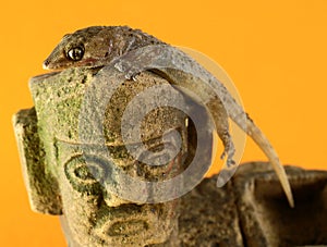 Gecko Lizard and Mayan Statue