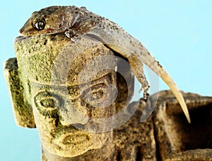 Gecko Lizard and Mayan Statue