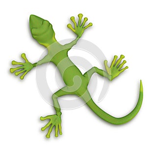 Gecko lizzard 3d