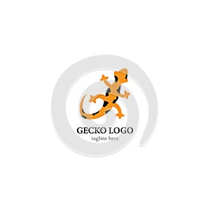 Gecko logo template vector