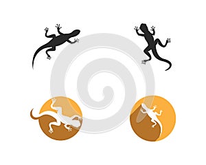 Gecko logo vector