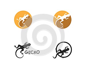 Gecko logo vector