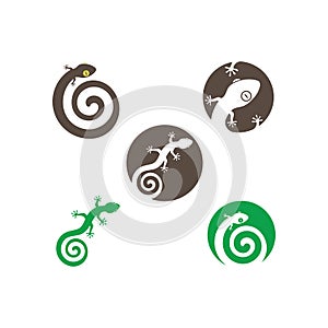 Gecko logo vector icon illustration