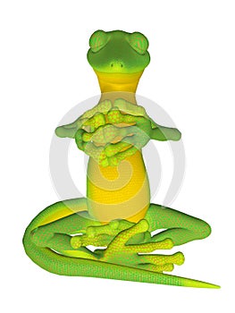 Gecko meditation