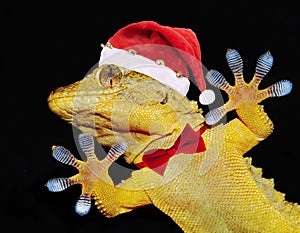 Gecko with santa claus hat and bow tie that greets everyone