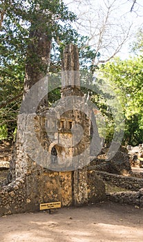 Gedi ruins with characteristic flute tombs