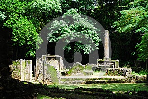 Gedi Ruins, Kenya