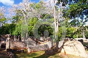 Gedi Ruins Kenya Africa Sun