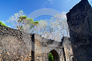 Gedi Ruins Kenya Africa Sun