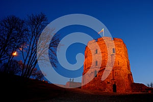 Gediminas Castle in Vilnius