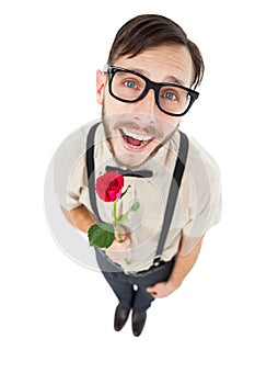 Geeky lovesick hipster holding rose