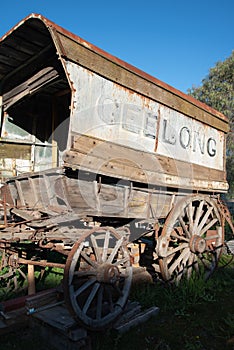 Geelong Horse Cart in portrait Geelong, Victoria, Australia