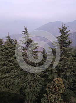 Geen enviornment trees with beautiful Mountains Scenery with Clouds