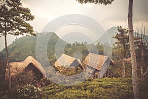 Geen mountains with some houses for tourists in rural landscape of Sri Lanka.