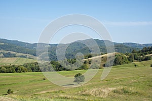 Geen valley with a sky. Landscape in the summer