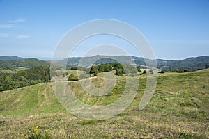 Geen valley with a sky. Landscape in the summer