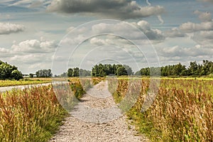 Geerpolder nature reserve with Path of broken building rubble