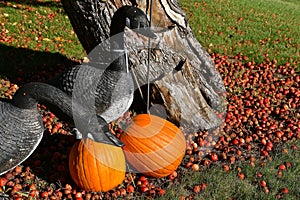 Geese decoys, pumpkins, and crab apples photo